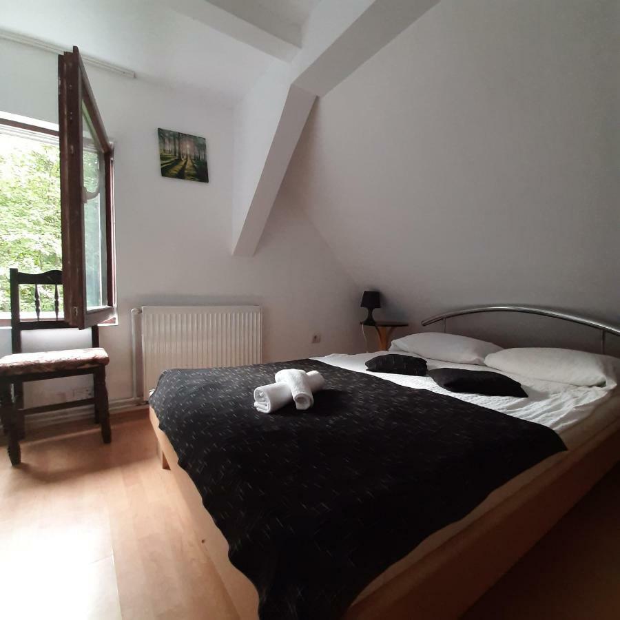 Popas Balea Rau Hotel Cîrţişoara Екстериор снимка