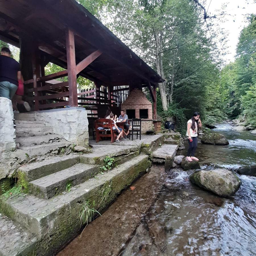Popas Balea Rau Hotel Cîrţişoara Екстериор снимка